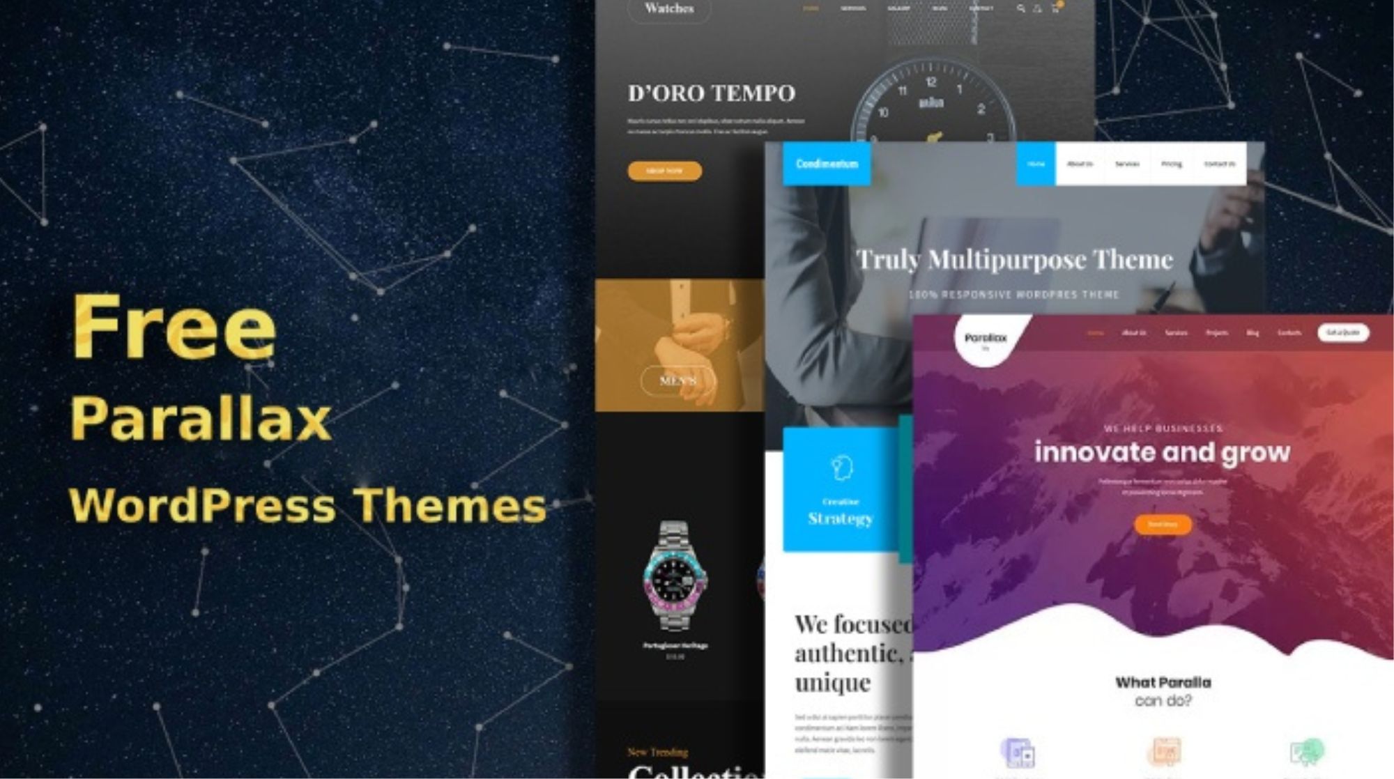 Top Free WordPress Parallax Themes for 2025
